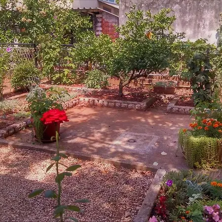 Guest Neno 3* 자다르